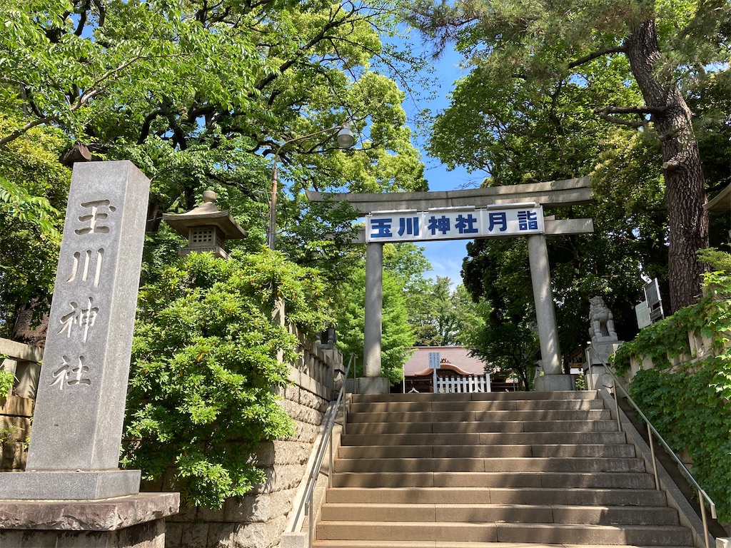 f:id:AKARI_PAPA:20200517125433j:image