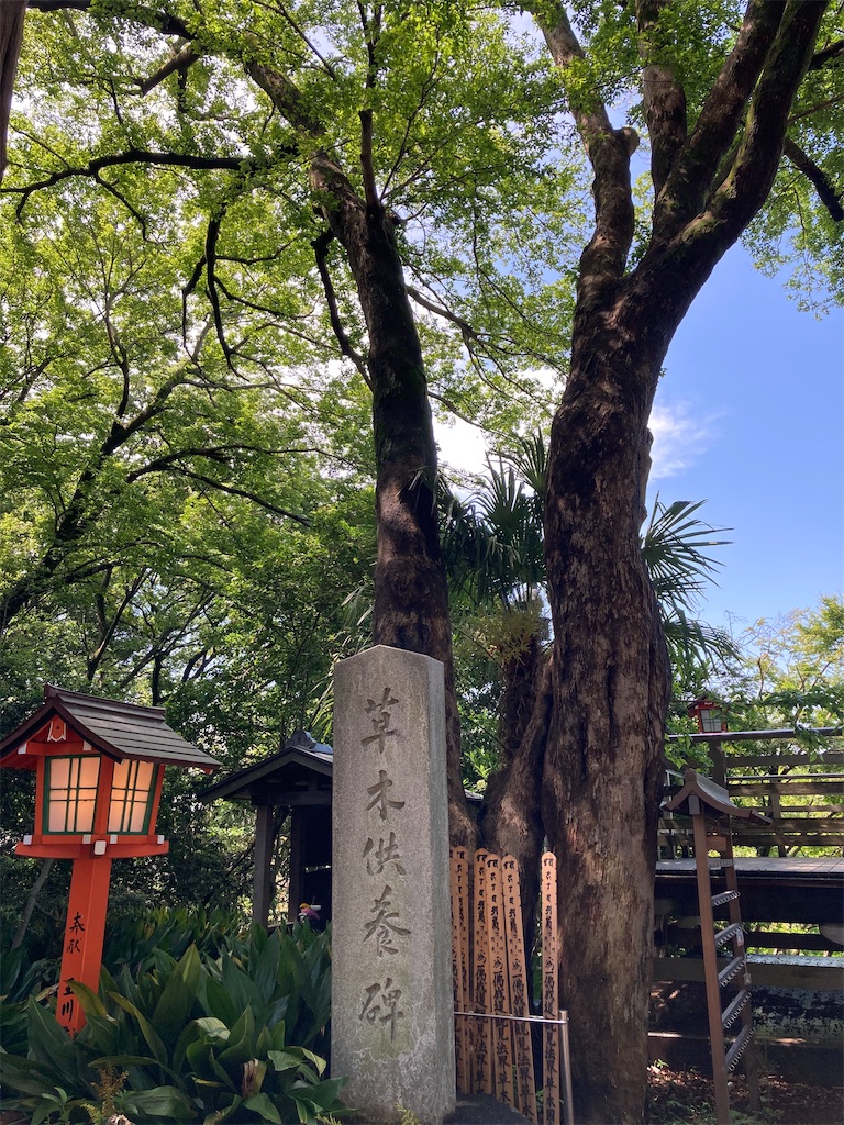 f:id:AKARI_PAPA:20200517125705j:image