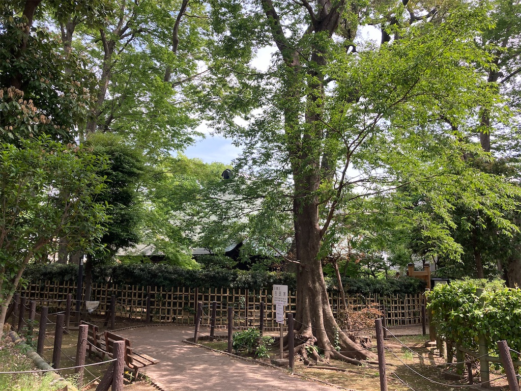 f:id:AKARI_PAPA:20200517125745j:image