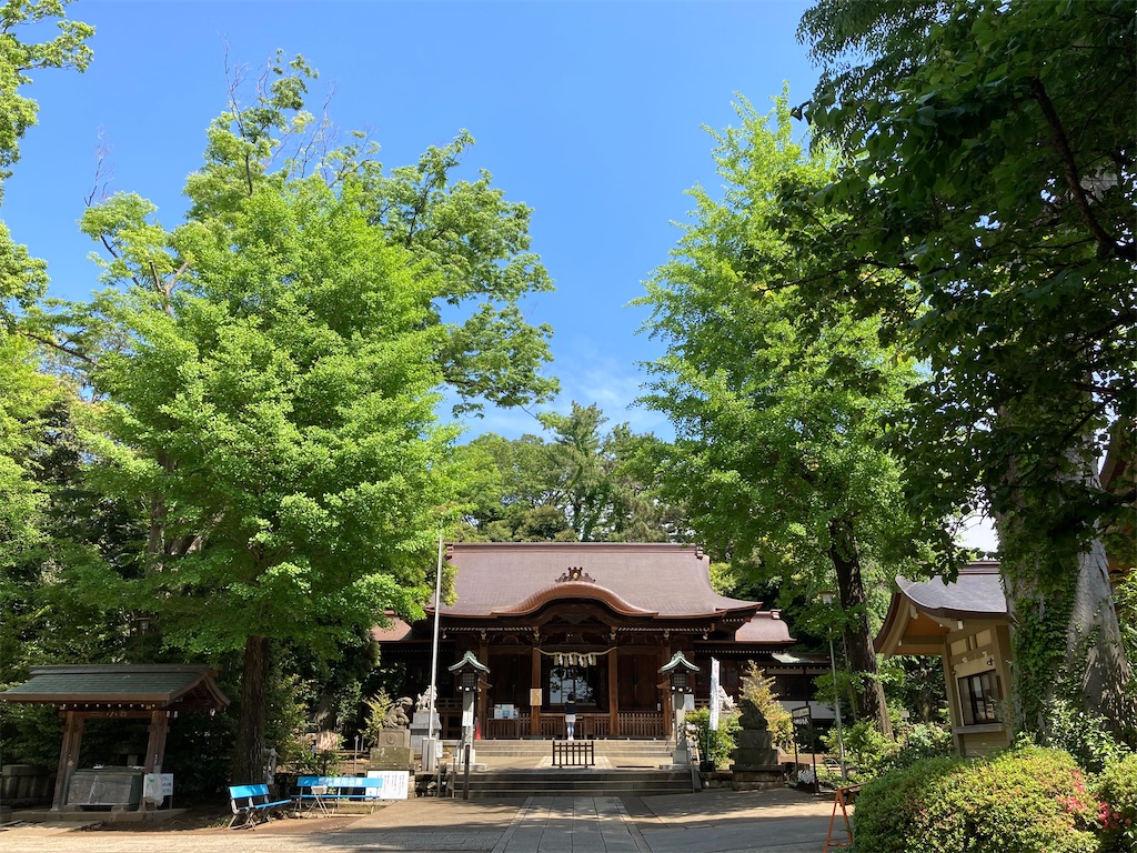 f:id:AKARI_PAPA:20200517130625j:image