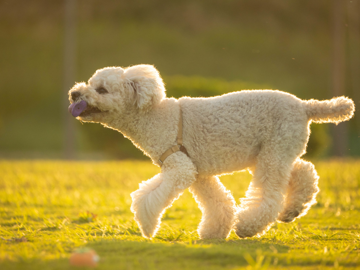 f:id:AKARI_PAPA:20200519083407j:plain