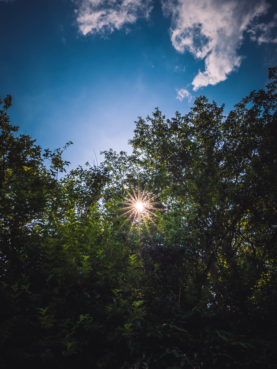 f:id:AKARI_PAPA:20200718111805j:plain