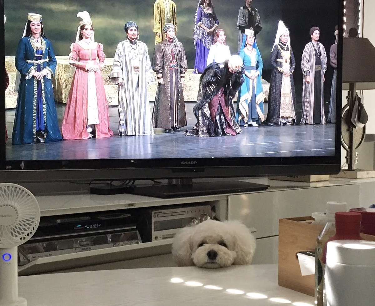 f:id:AKARI_PAPA:20200823160936j:plain f:id:AKARI_PAPA:20200823160936j:plain