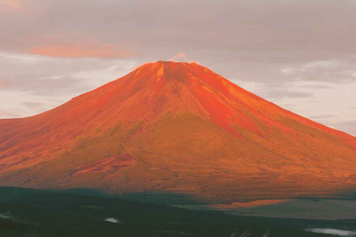 f:id:AKARI_PAPA:20200909073709j:plain f:id:AKARI_PAPA:20200909073709j:plain