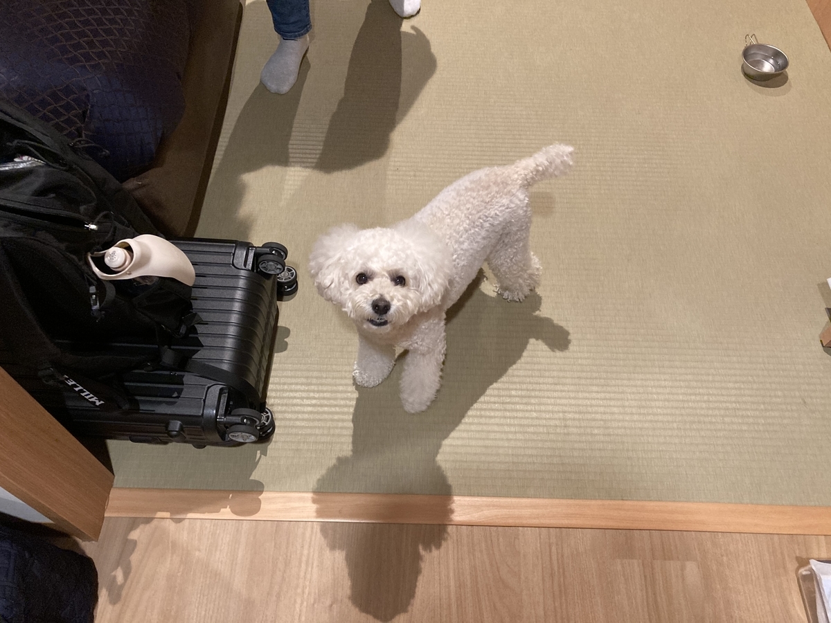 f:id:AKARI_PAPA:20200921065512j:plain f:id:AKARI_PAPA:20200921065512j:plain