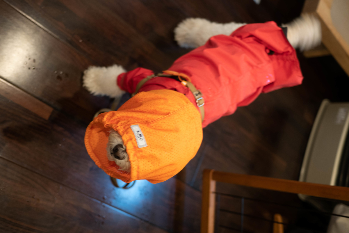 f:id:AKARI_PAPA:20201010125334j:plain f:id:AKARI_PAPA:20201010125334j:plain