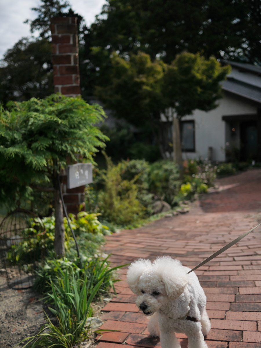 f:id:AKARI_PAPA:20201025224522j:plain