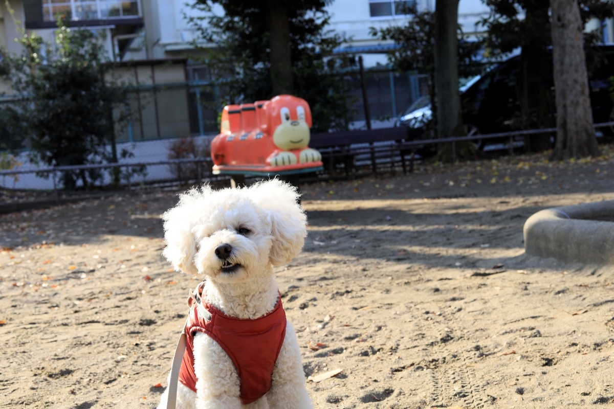 f:id:AKARI_PAPA:20201214053631j:plain