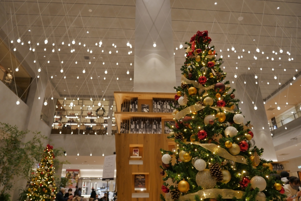 f:id:AKARI_PAPA:20201214054755j:plain