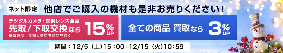 f:id:AKARI_PAPA:20201214062349p:plain