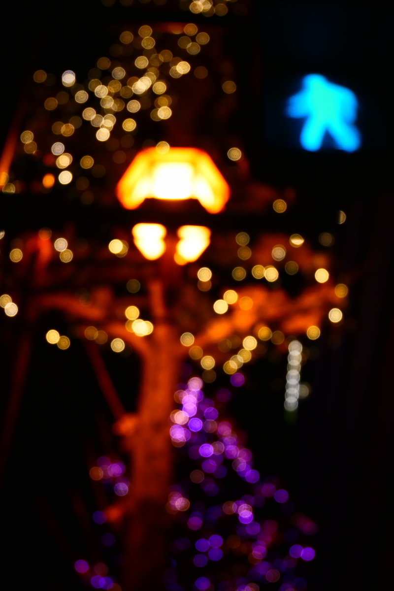 f:id:AKARI_PAPA:20201217075414j:plain