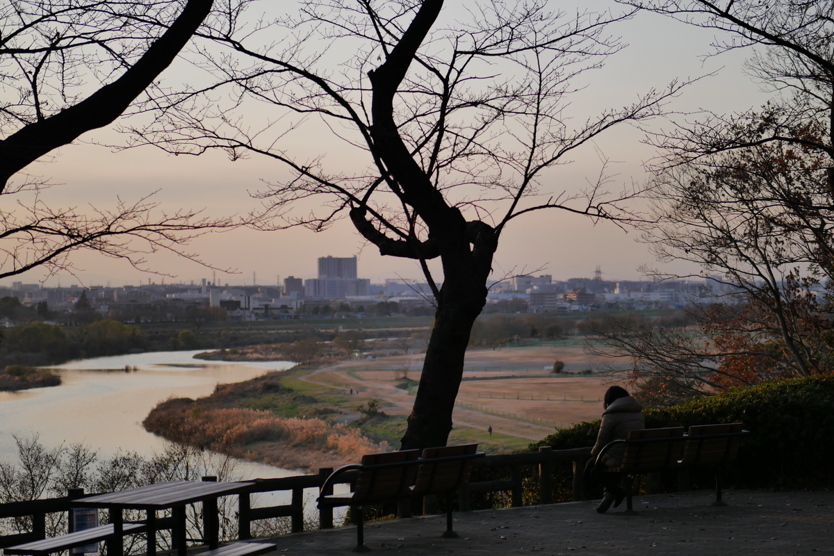 f:id:AKARI_PAPA:20201227183318j:plain