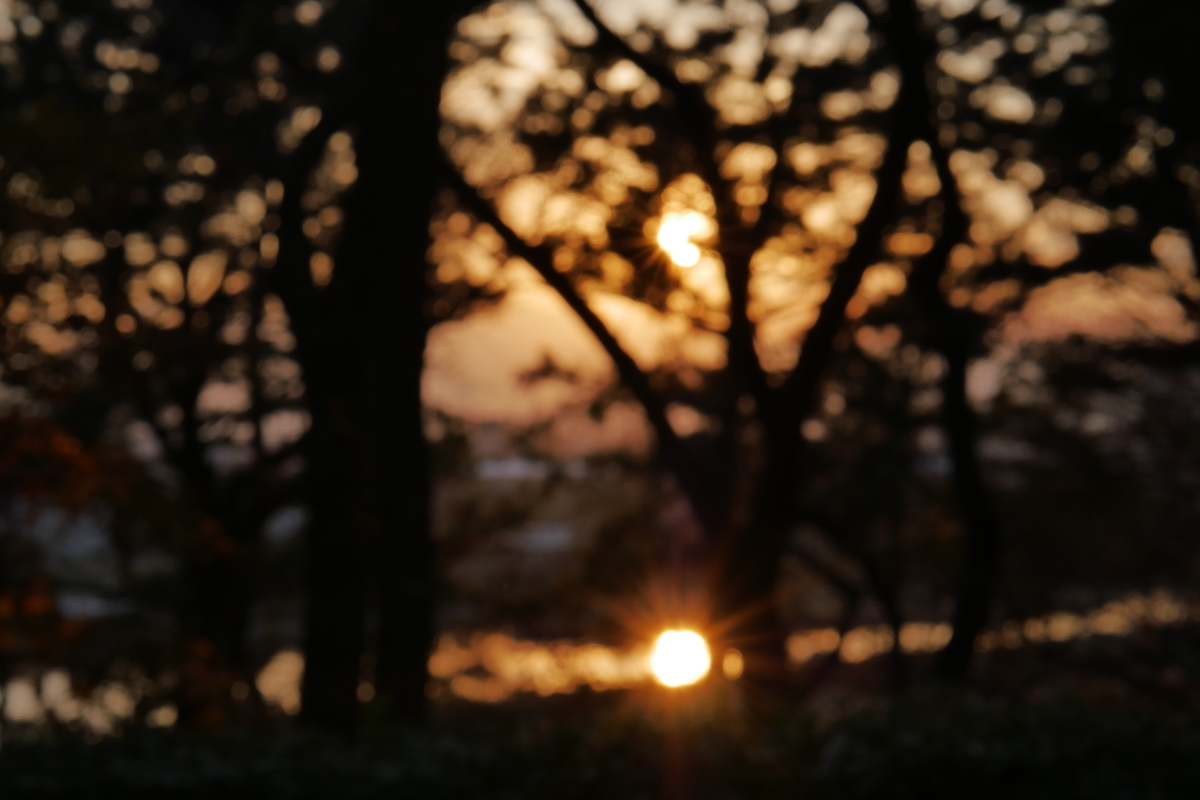 f:id:AKARI_PAPA:20201227183736j:plain