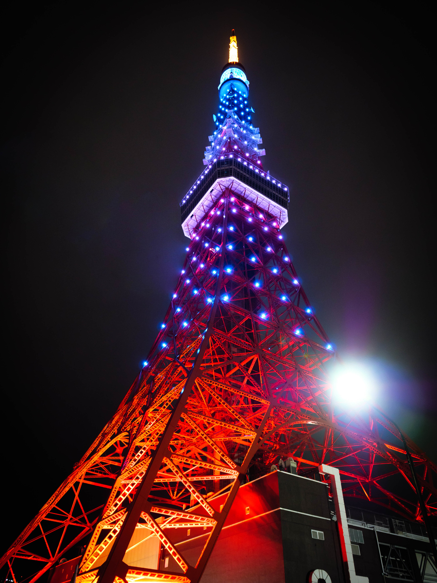 f:id:AKARI_PAPA:20201231082552j:plain