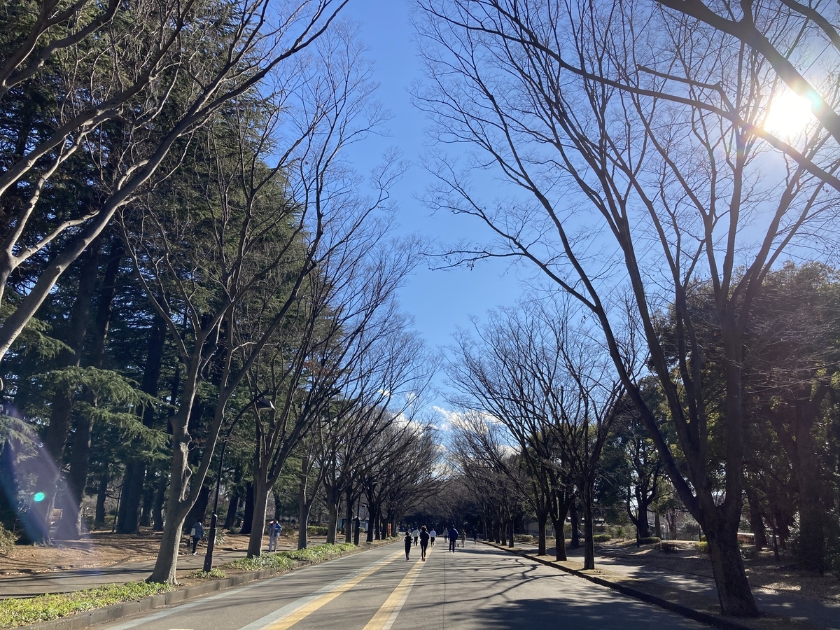f:id:AKARI_PAPA:20210102080524j:plain