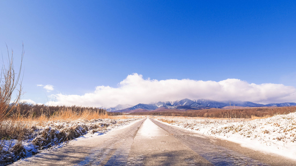 f:id:AKARI_PAPA:20210123193858j:plain