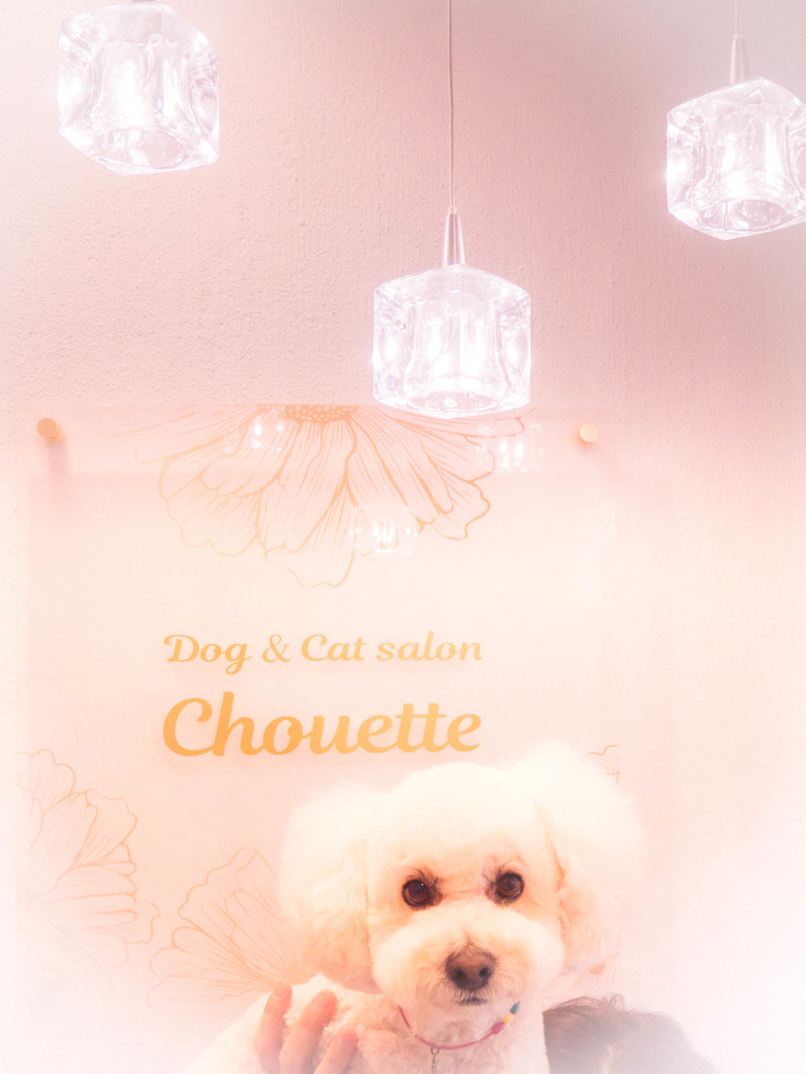 f:id:AKARI_PAPA:20210313074841j:plain