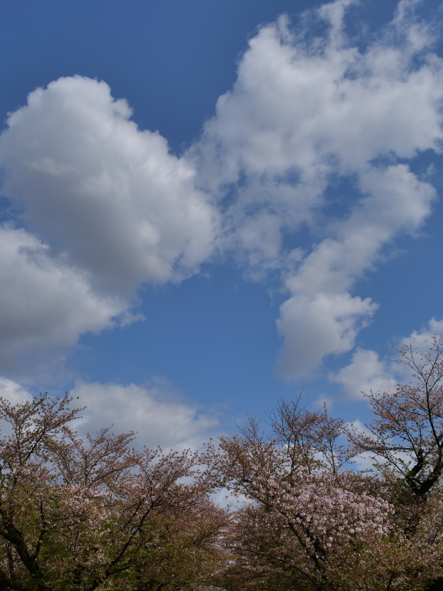 f:id:AKARI_PAPA:20210405070516j:plain