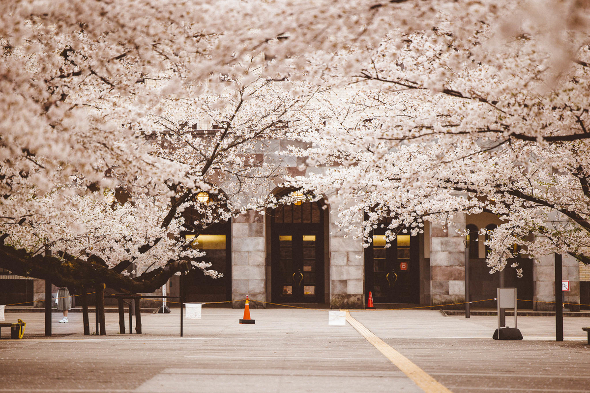 f:id:AKARI_PAPA:20210423063308j:plain