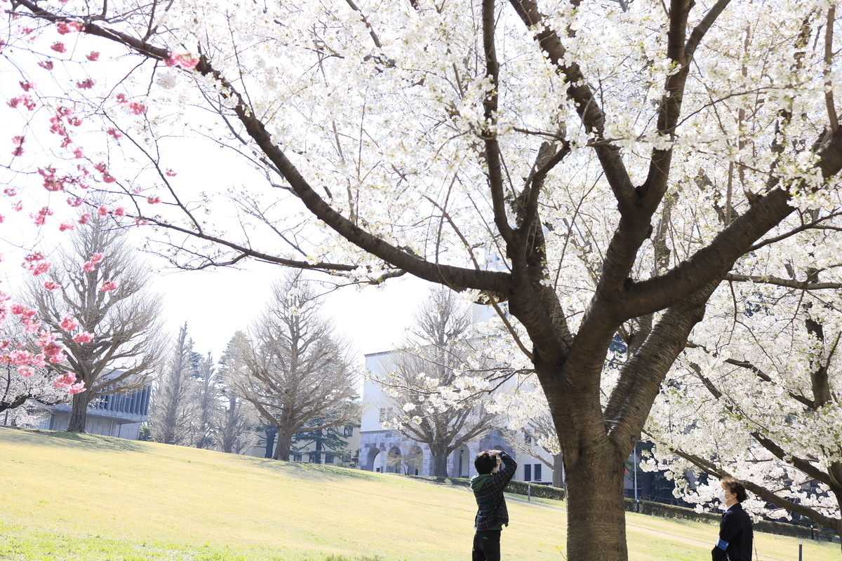 f:id:AKARI_PAPA:20210503182606j:plain