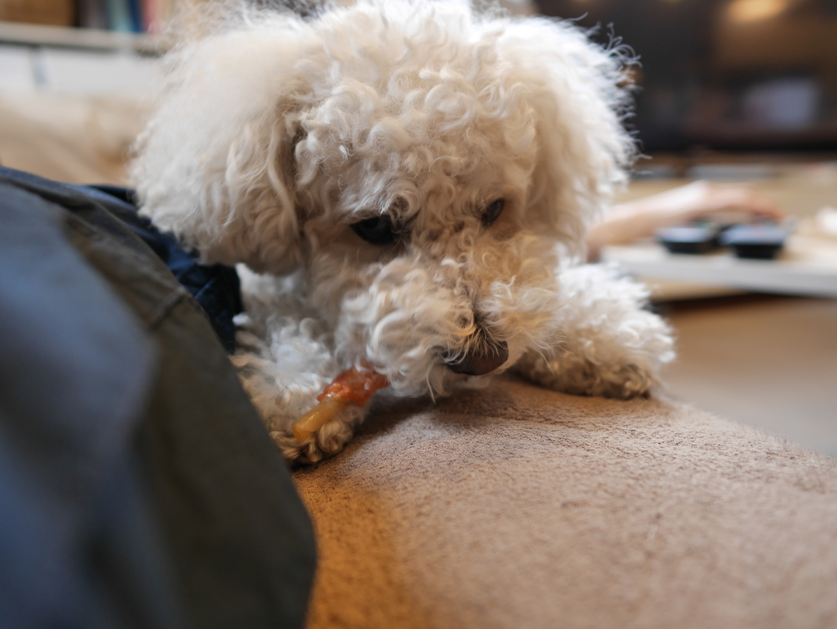 f:id:AKARI_PAPA:20210508122202j:plain