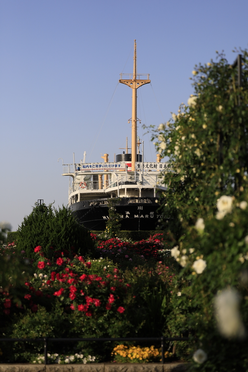 f:id:AKARI_PAPA:20210509190742j:plain