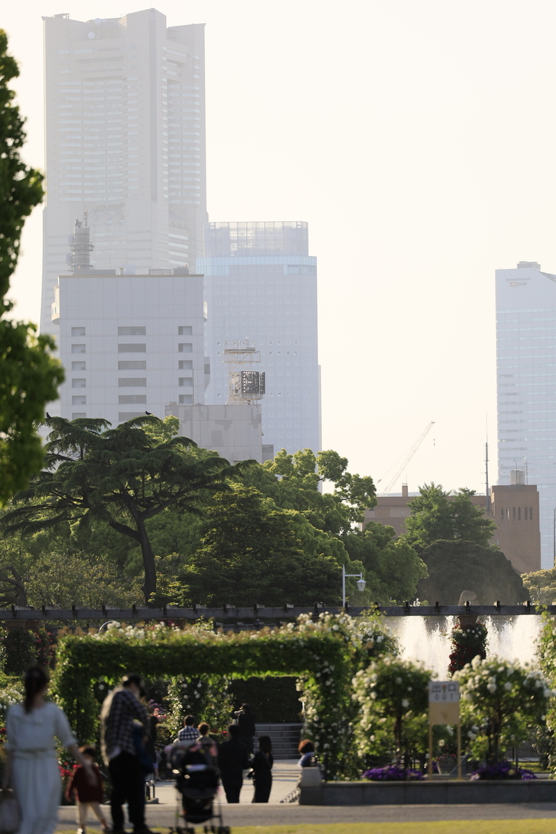 f:id:AKARI_PAPA:20210509190824j:plain