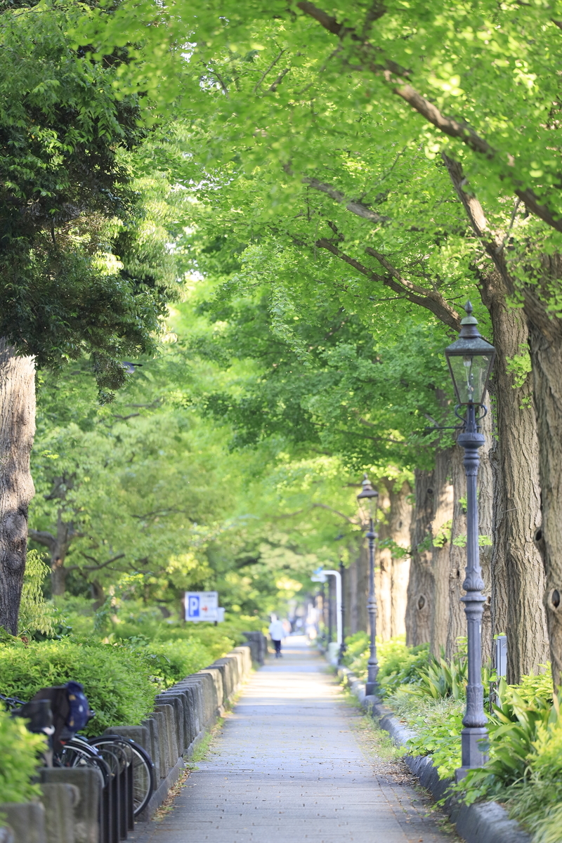 f:id:AKARI_PAPA:20210509190923j:plain