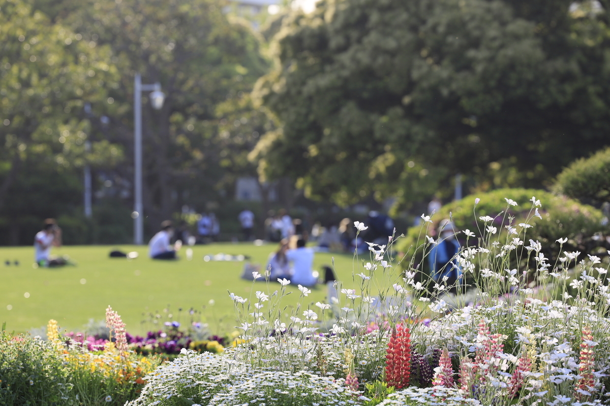 f:id:AKARI_PAPA:20210509192811j:plain