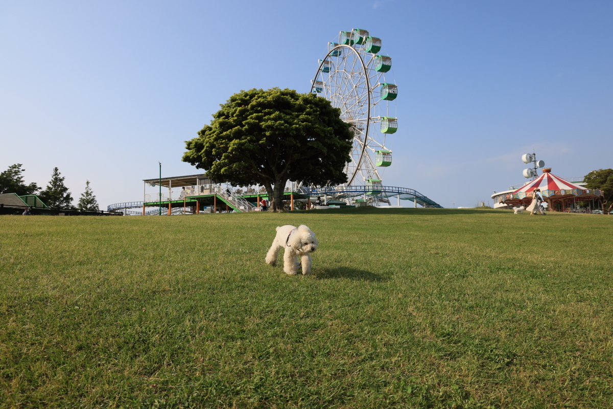 f:id:AKARI_PAPA:20210604055849j:plain