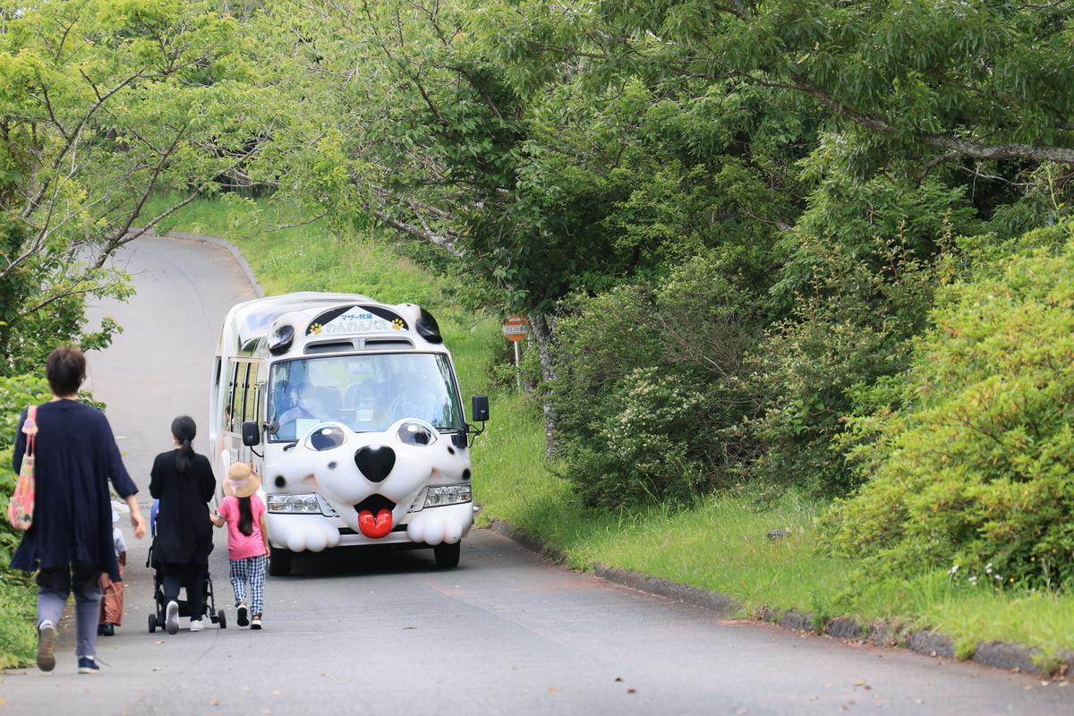 f:id:AKARI_PAPA:20210604063535j:plain