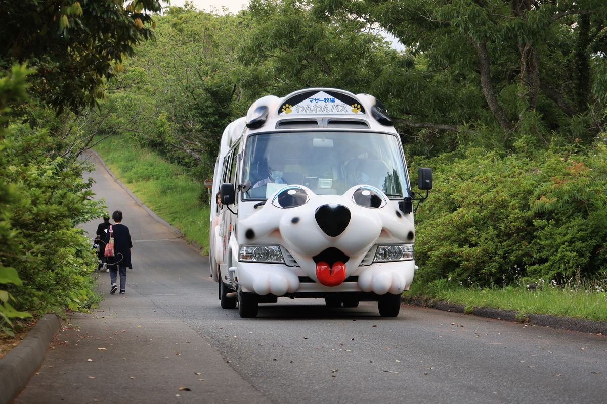 f:id:AKARI_PAPA:20210604063622j:plain