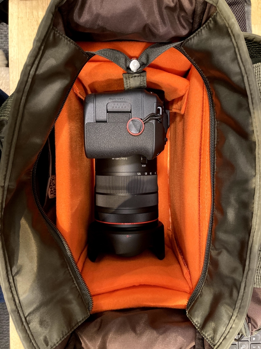 f:id:AKARI_PAPA:20210604064306j:plain