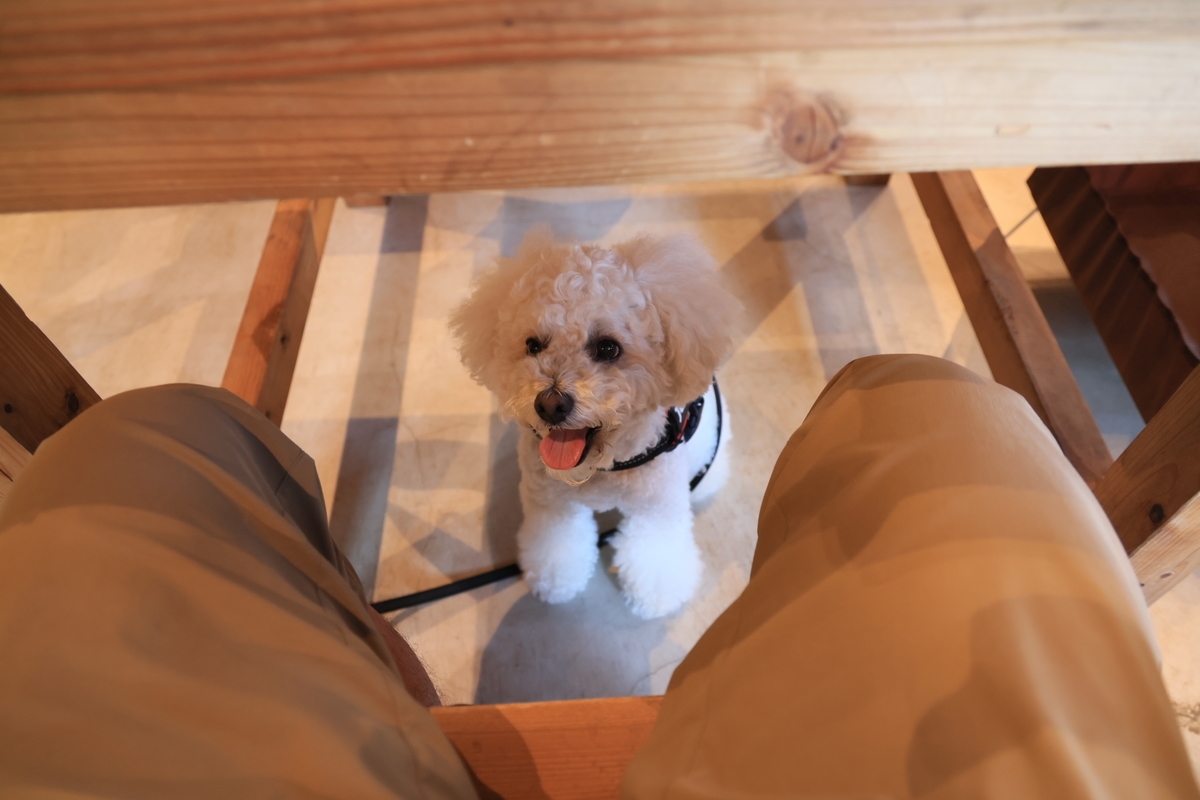 f:id:AKARI_PAPA:20210711192111j:plain