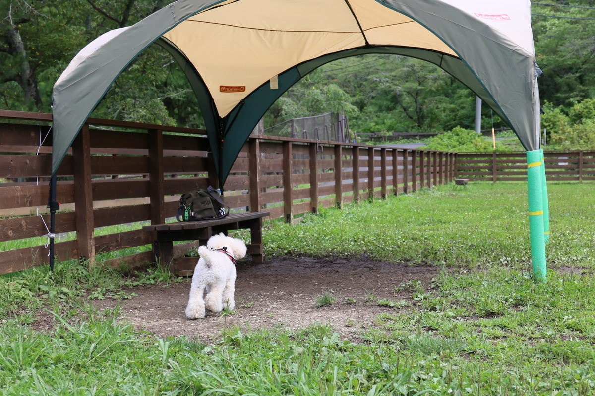 f:id:AKARI_PAPA:20210711192426j:plain