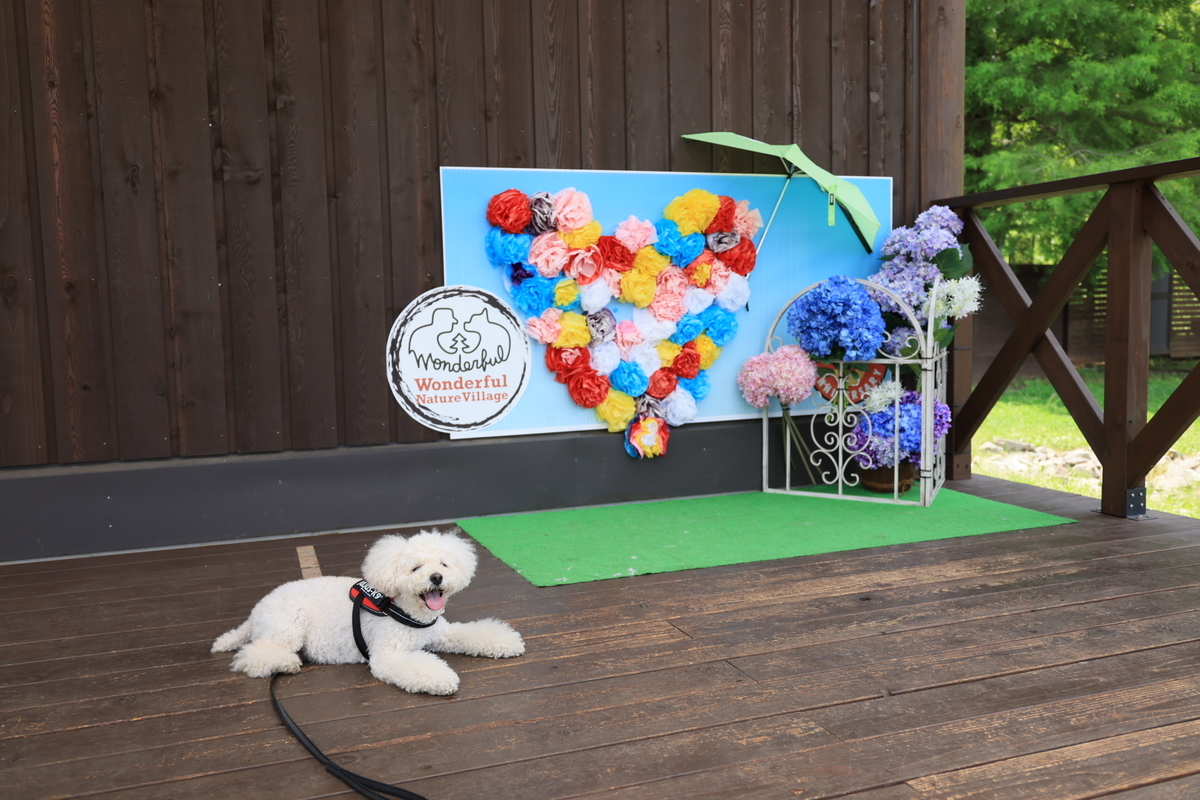 f:id:AKARI_PAPA:20210711193346j:plain