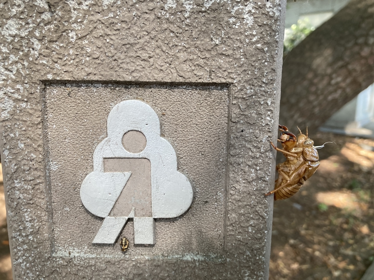 f:id:AKARI_PAPA:20210724180127j:plain