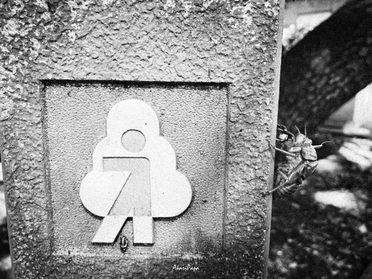 f:id:AKARI_PAPA:20210724180706j:plain