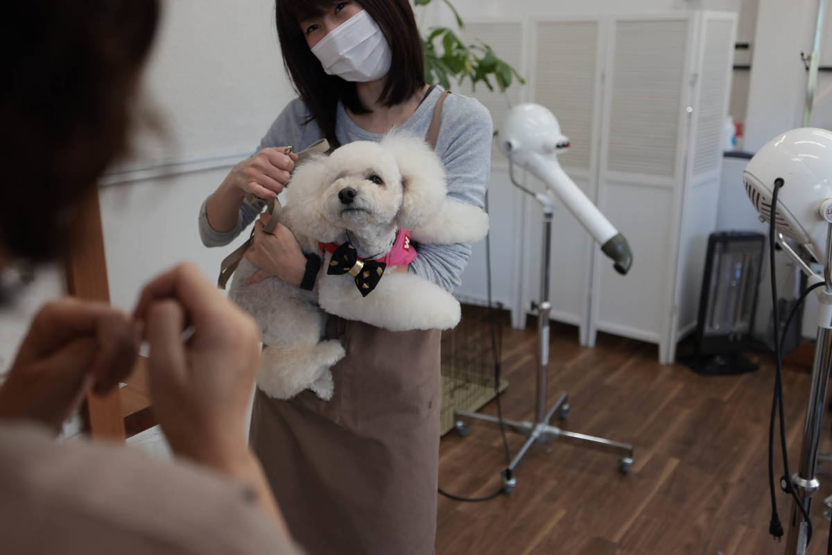 f:id:AKARI_PAPA:20210724195954j:plain