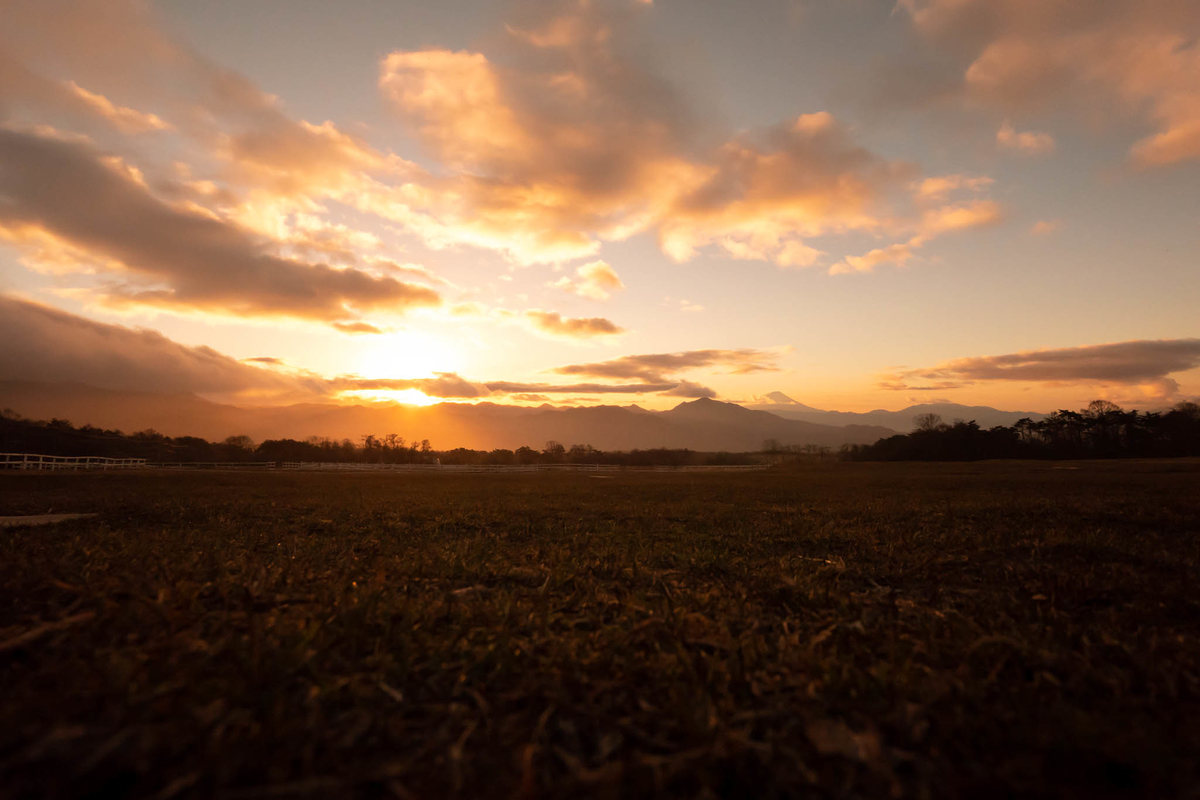 f:id:AKARI_PAPA:20210725110643j:plain