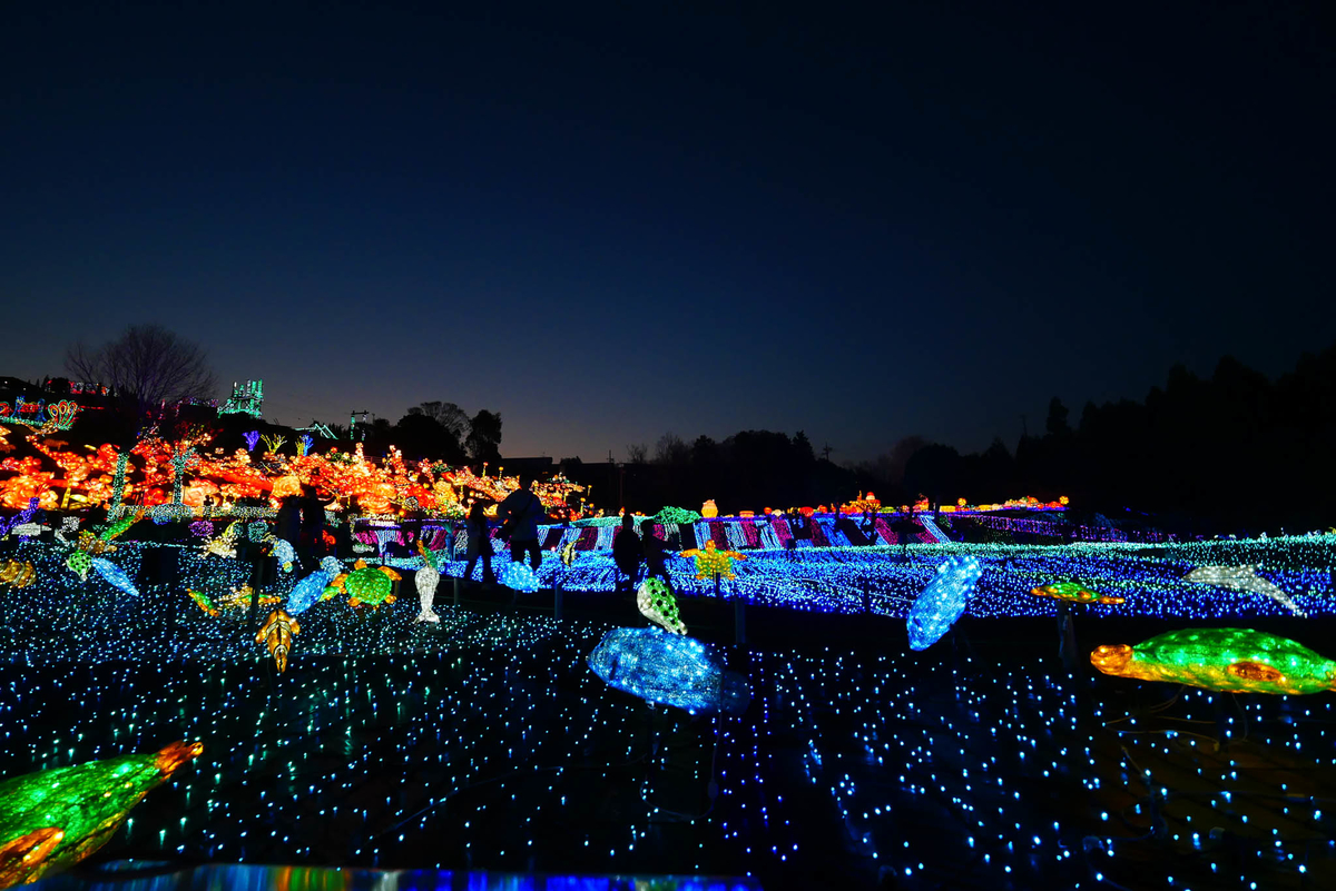 f:id:AKARI_PAPA:20210725110847j:plain