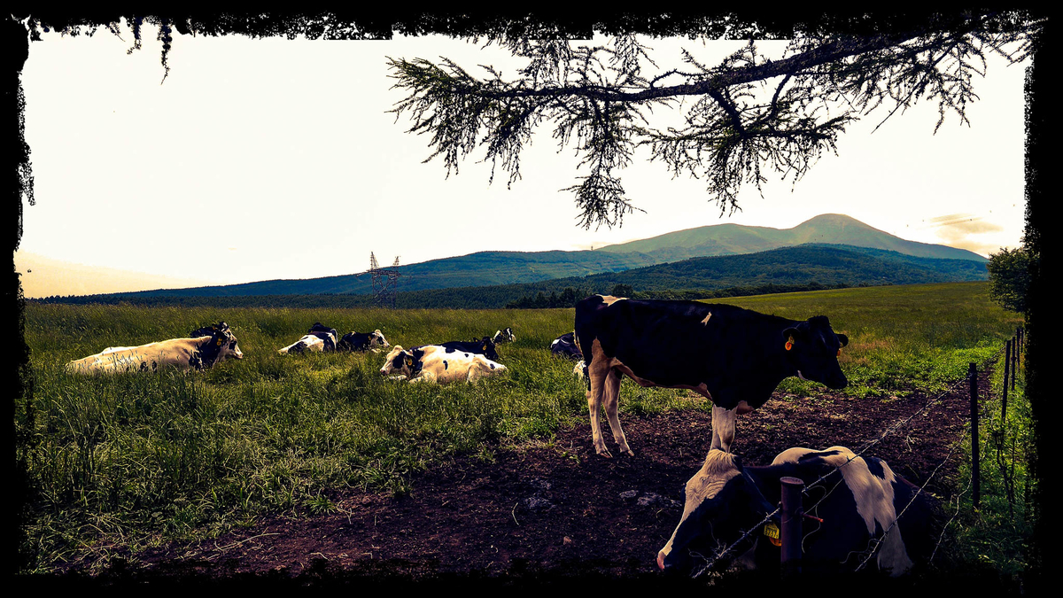 f:id:AKARI_PAPA:20210725110934j:plain