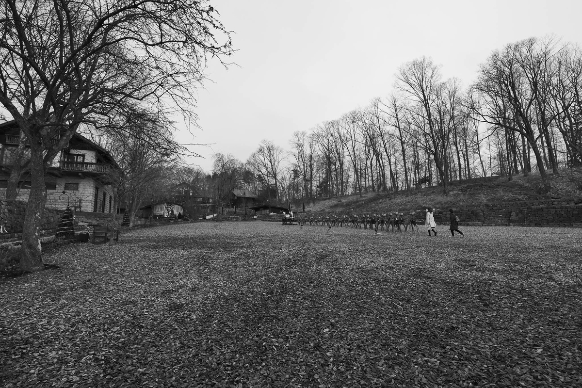 f:id:AKARI_PAPA:20210725111039j:plain