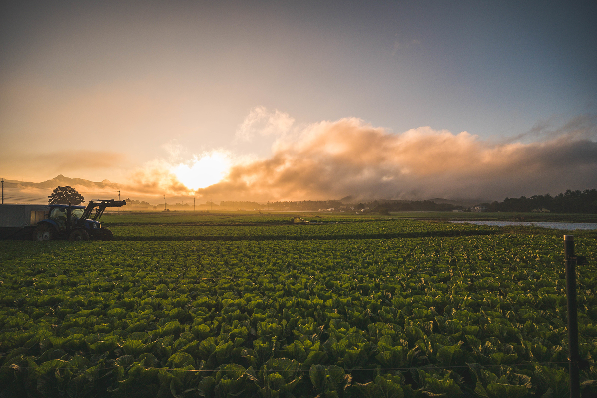 f:id:AKARI_PAPA:20210725140855j:plain