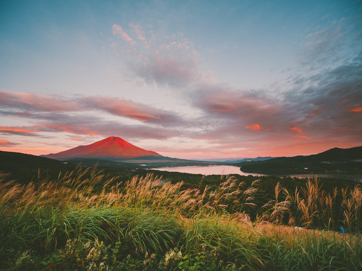 f:id:AKARI_PAPA:20210725143120j:plain