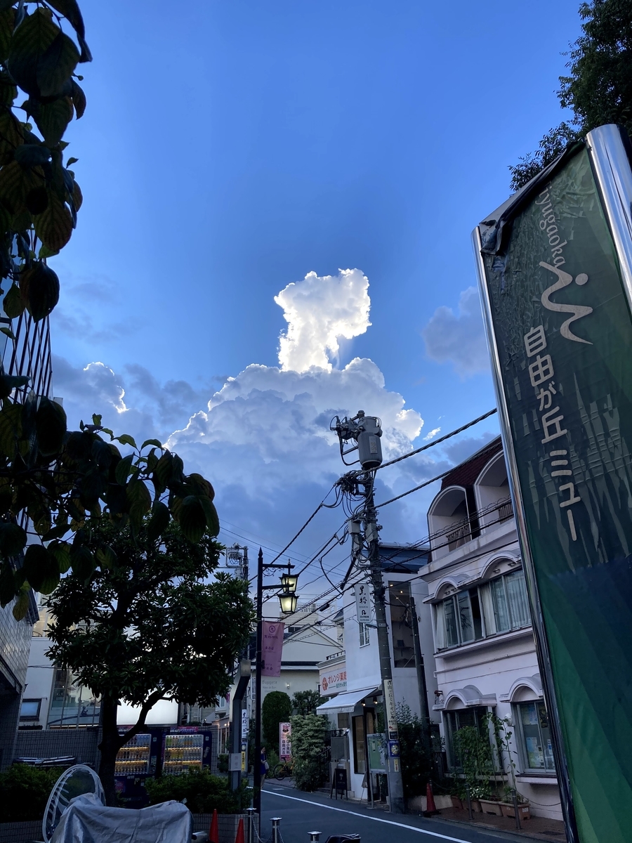 f:id:AKARI_PAPA:20210807094209j:plain