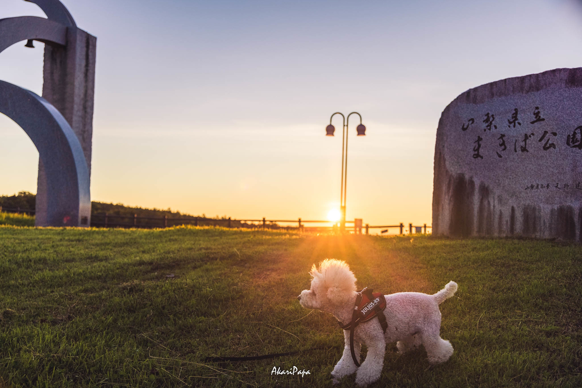 f:id:AKARI_PAPA:20210811085844j:plain