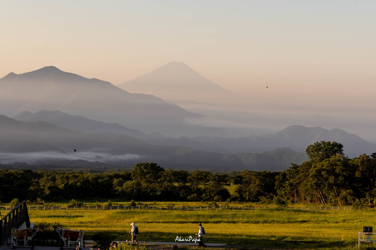 f:id:AKARI_PAPA:20210817080851j:plain