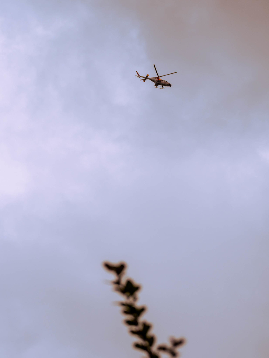 f:id:AKARI_PAPA:20210829104950j:plain