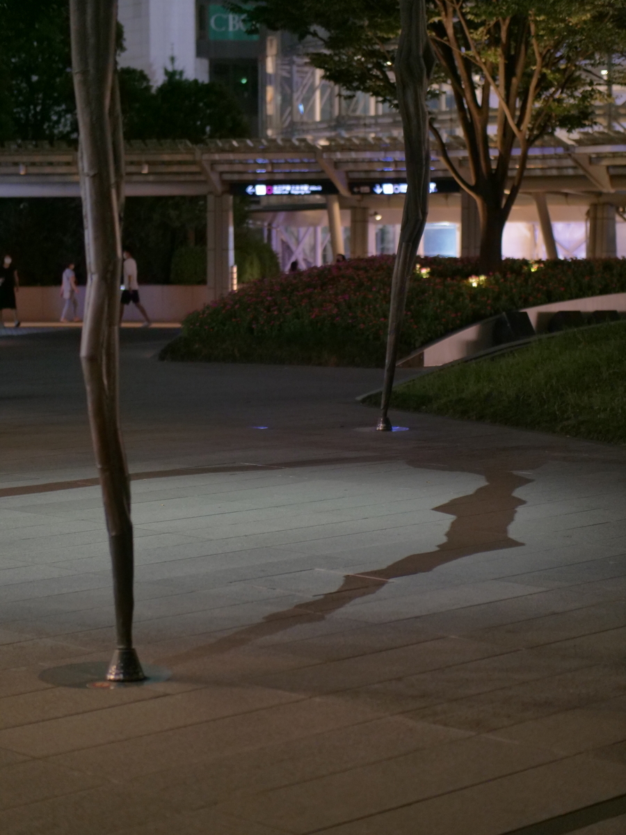 f:id:AKARI_PAPA:20210829105946j:plain